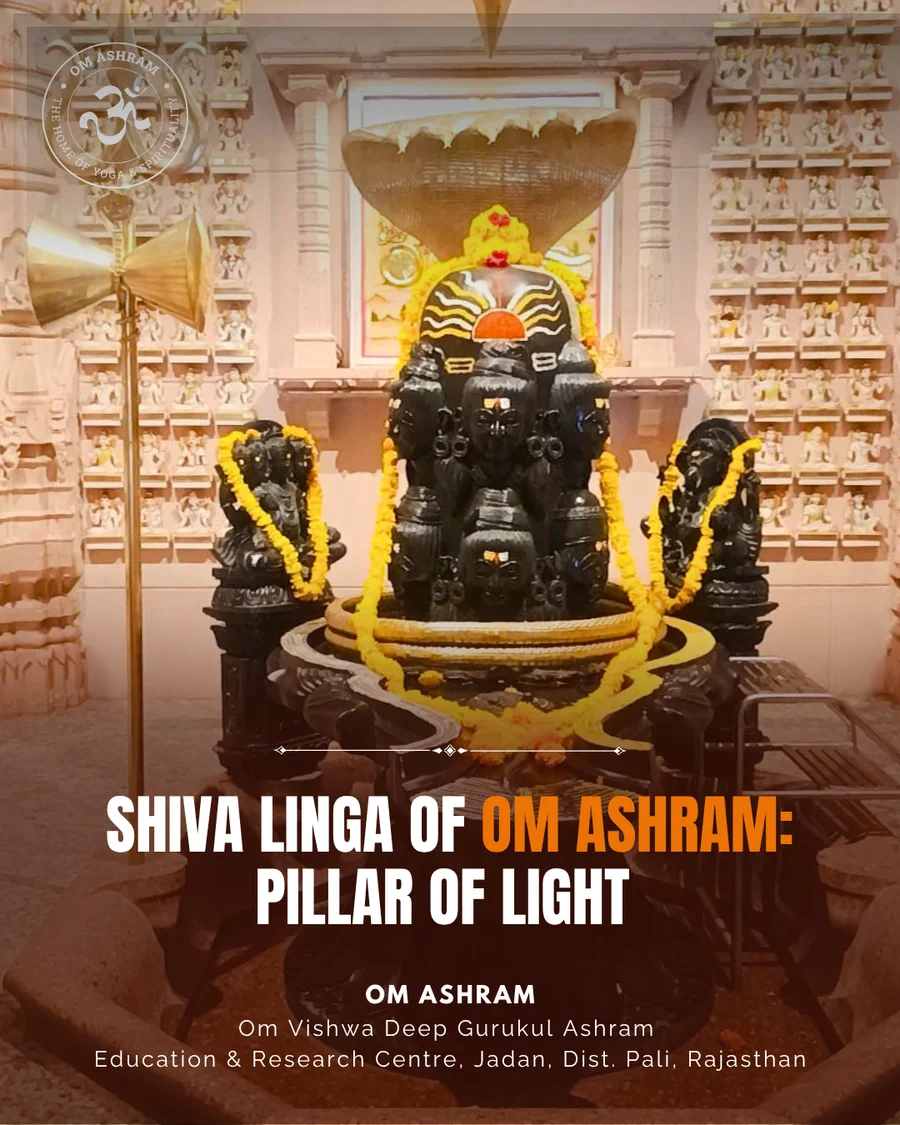 Shiva Linga of om ashram
