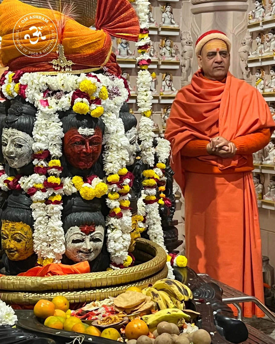 2nd-varsagandh-mahotsav-spiritual-wisdom-at-om-ashram_body6