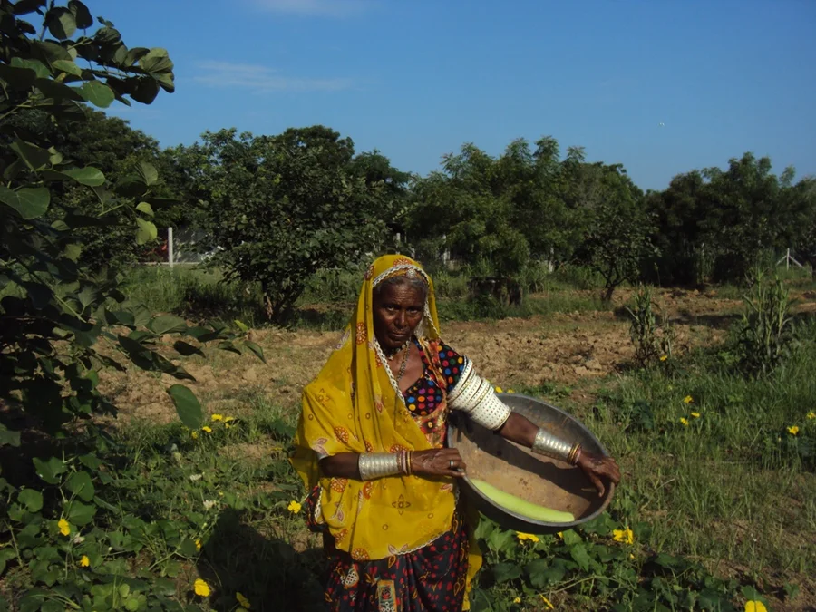 meerabhai with bottle gourd