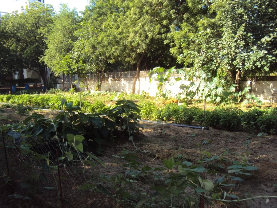 workshop garden