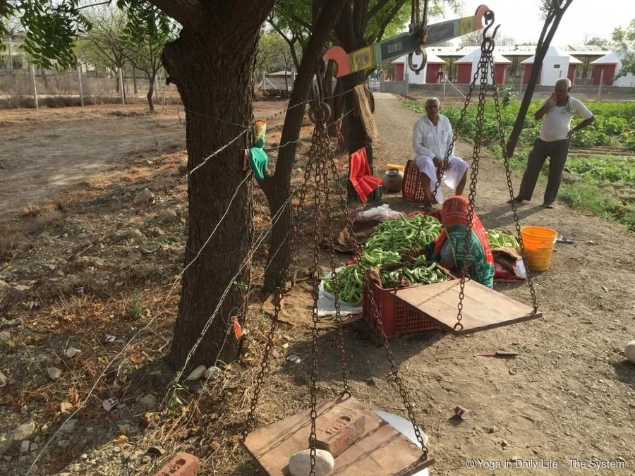 Deeperamji's sabji operation