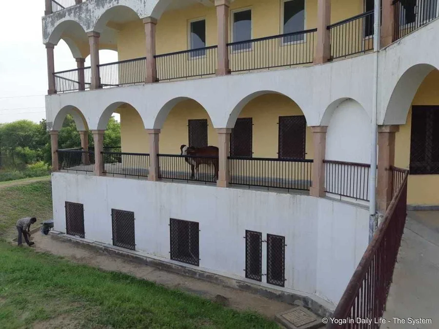 Dr Lakshmi Sharma and Dr Leela Goyal