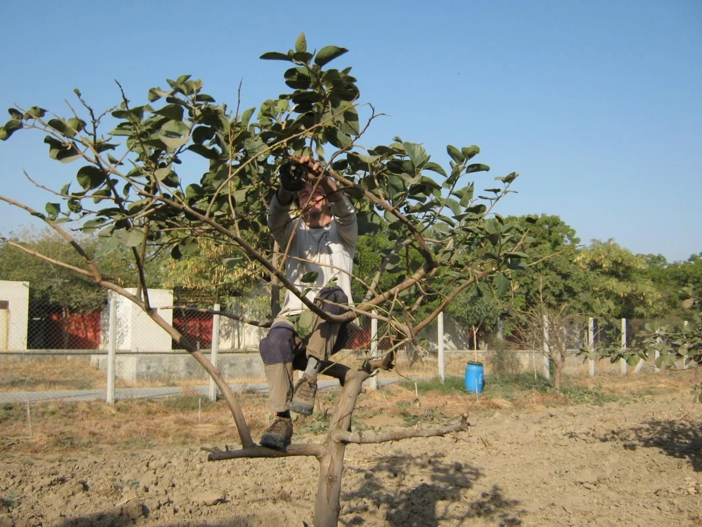 Etbin-ji our master of permaculture techniques