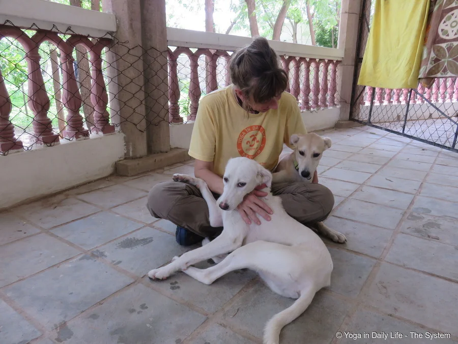 Gayatri and Geeta at eight months