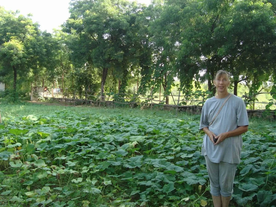 Our main gourd area min