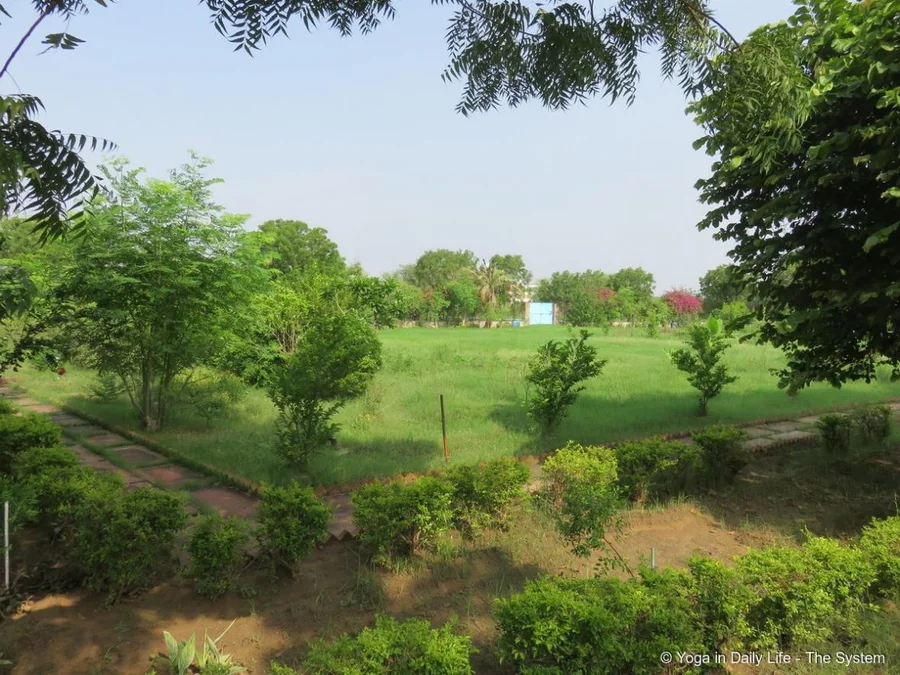 Shiv Bagh surrended to unsightly weeds