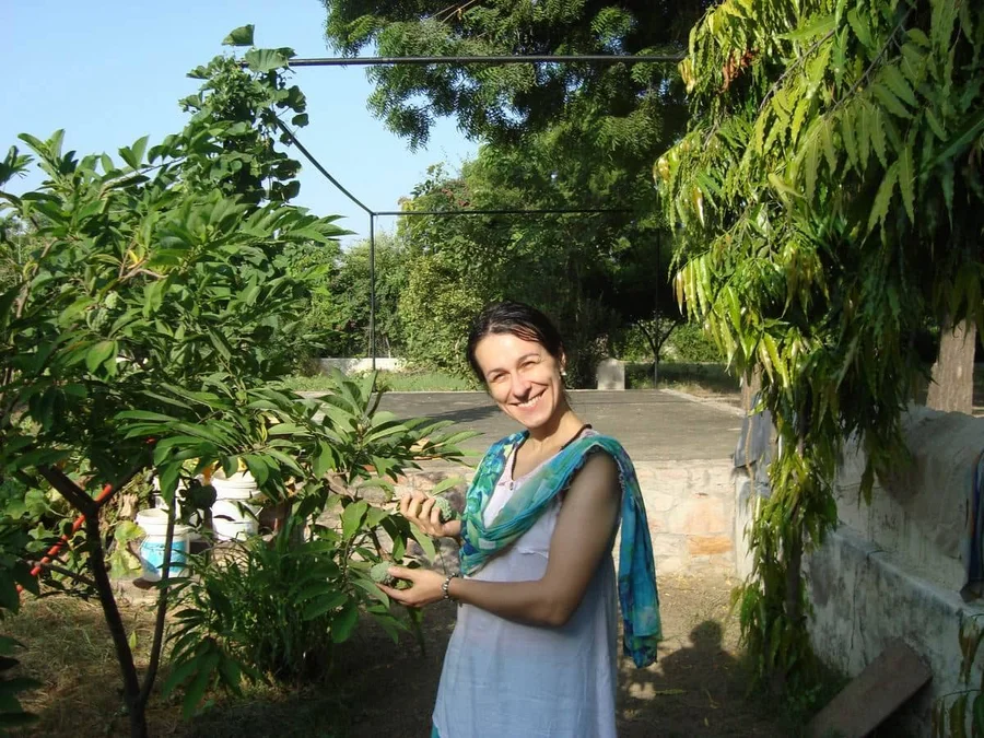 Sitaji with young sitaphal fruits min