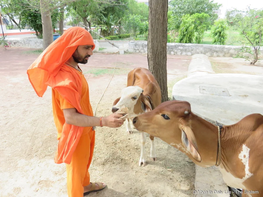Swami Phoolpuriji with Lakshmi and Leela