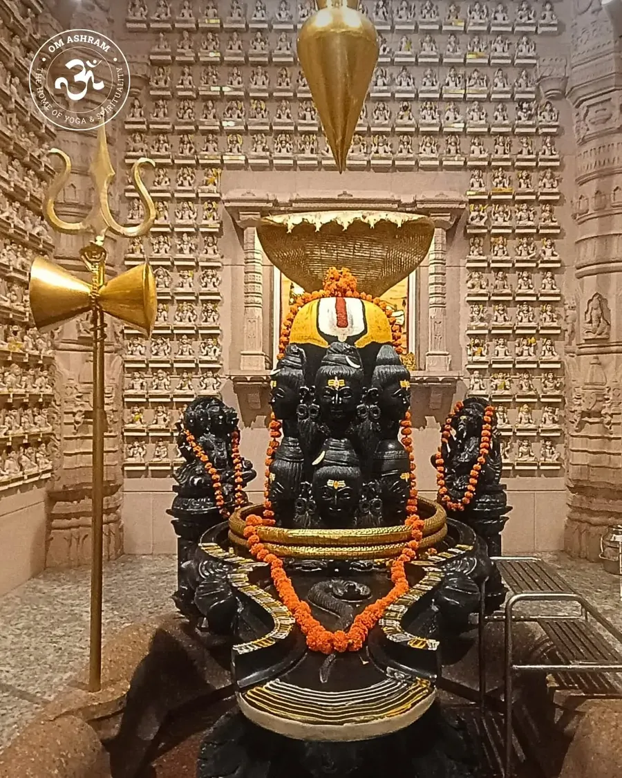 a-divine-turn-at-om-ashram bodyImage