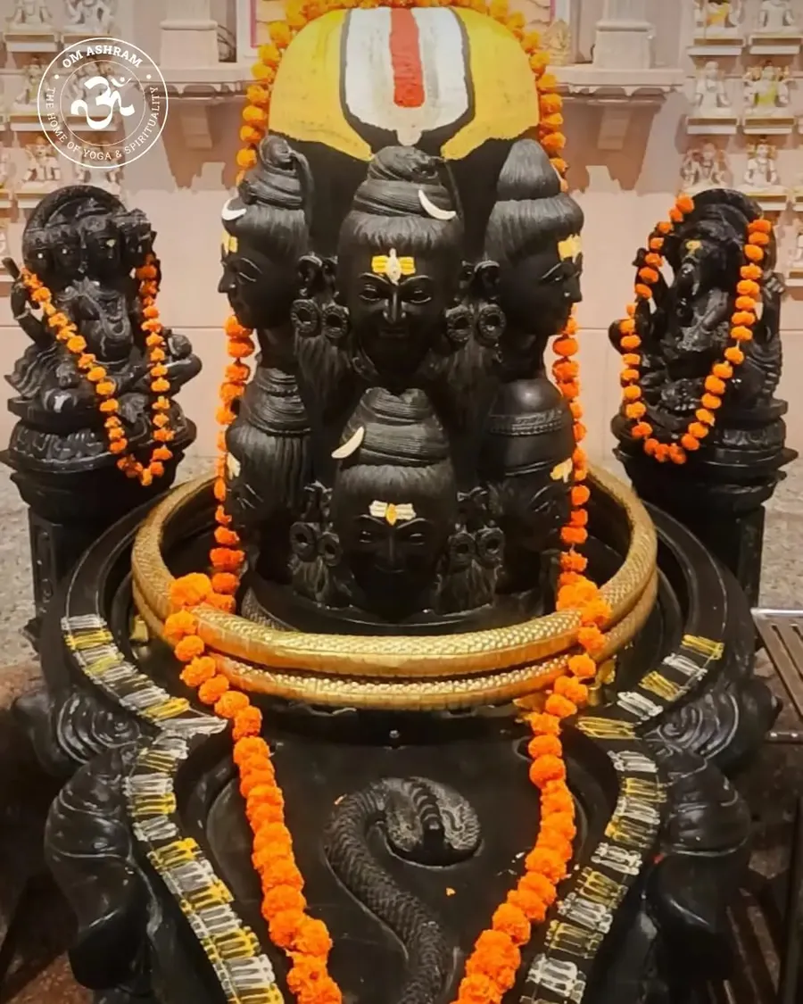 a-divine-turn-at-om-ashram bodyImage