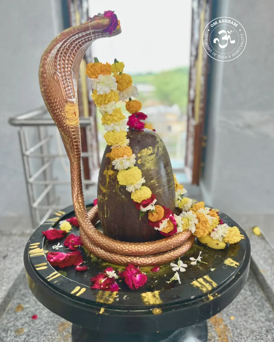 a-sacred-homecoming-gurudev-blesses-the-new-maheshwar-mahadev-mandir_body6