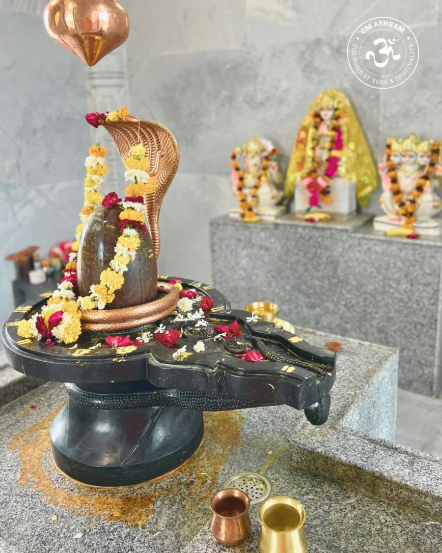 a-sacred-homecoming-gurudev-blesses-the-new-maheshwar-mahadev-mandir_body8