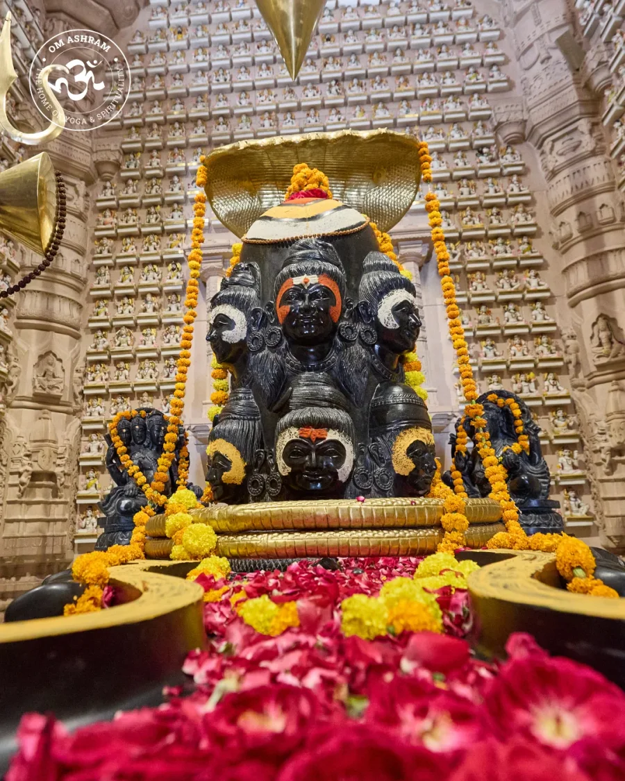 a-wall-of-1008-shivas-a-monument-to-devotion_body1