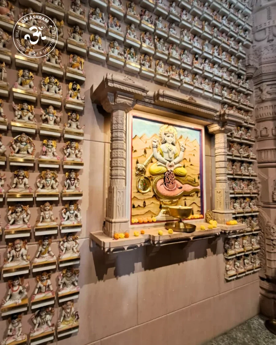 a-wall-of-1008-shivas-a-monument-to-devotion_body10