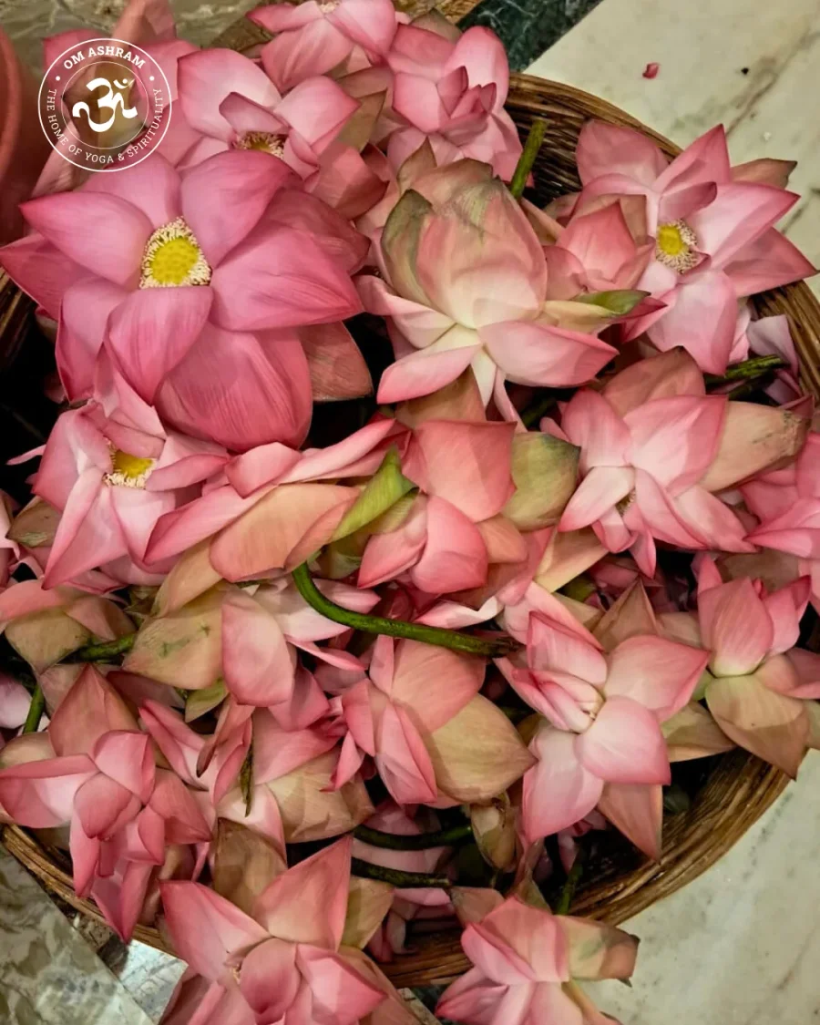 a-wall-of-1008-shivas-a-monument-to-devotion_body12