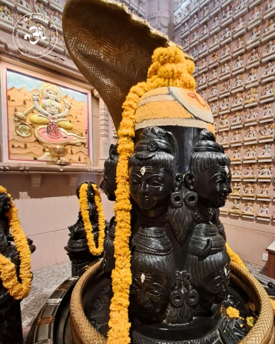 a-wall-of-1008-shivas-a-monument-to-devotion_body16