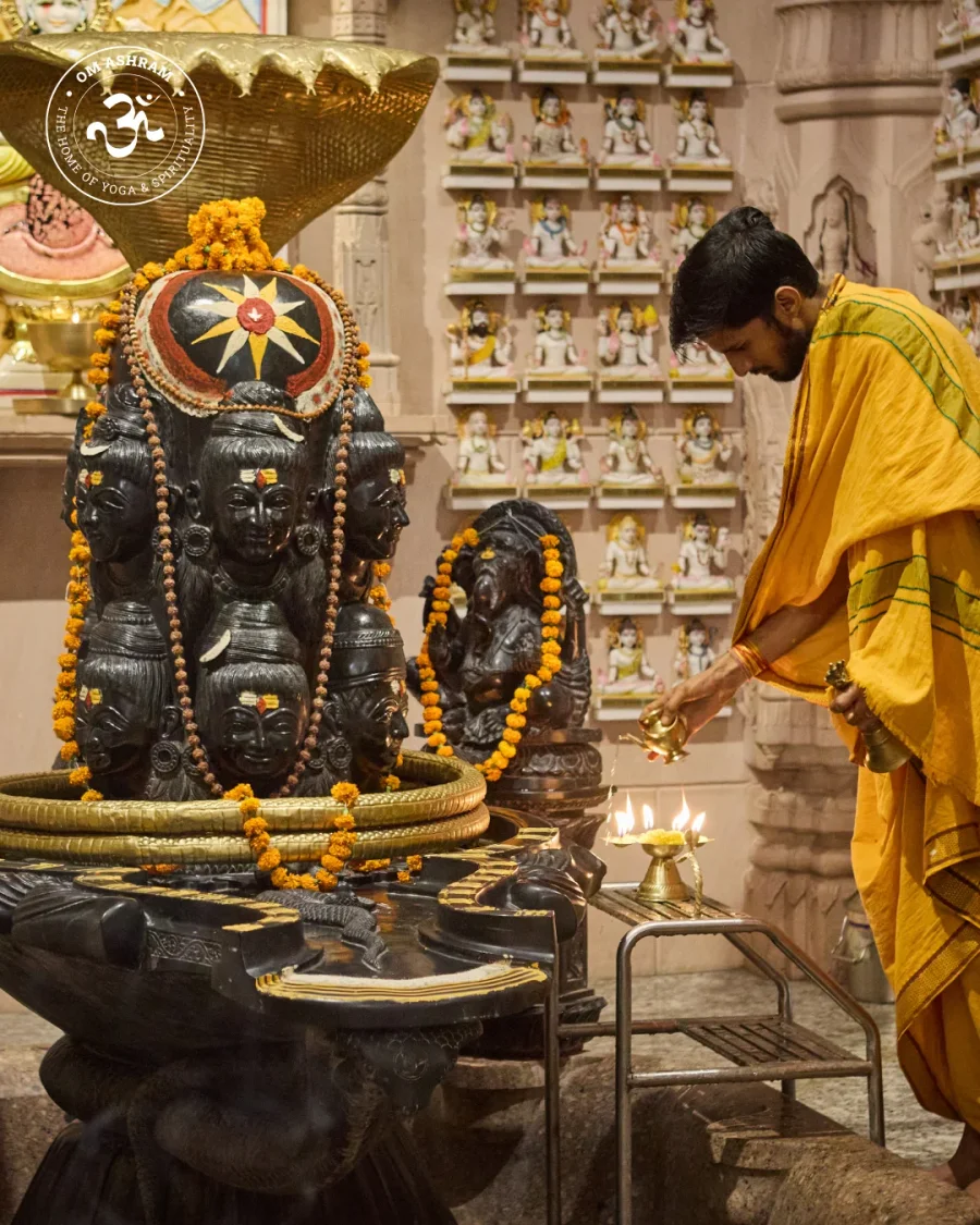 a-wall-of-1008-shivas-a-monument-to-devotion_body17