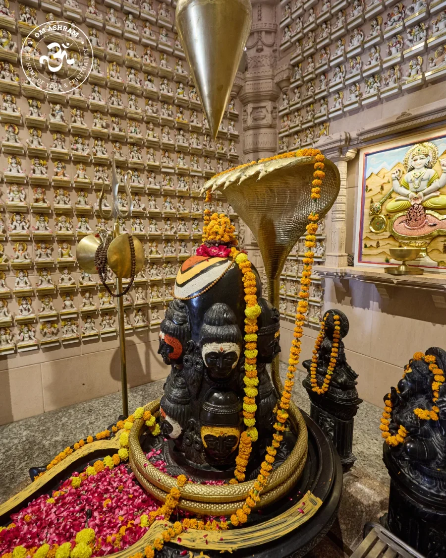 a-wall-of-1008-shivas-a-monument-to-devotion_body2