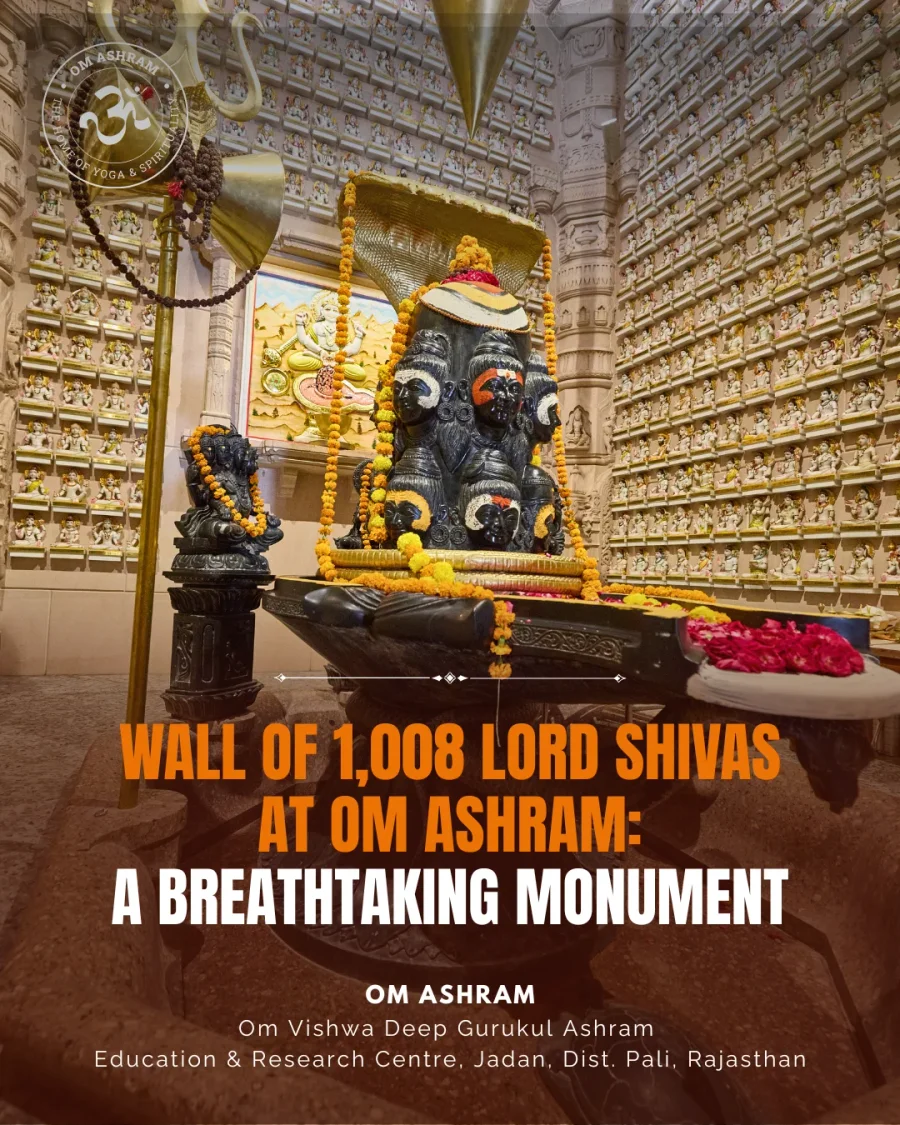 a-wall-of-1008-shivas-a-monument-to-devotion_body4