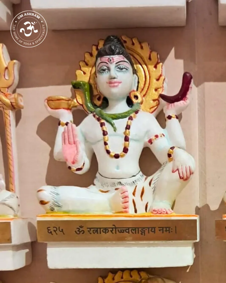 a-wall-of-1008-shivas-a-monument-to-devotion_body7