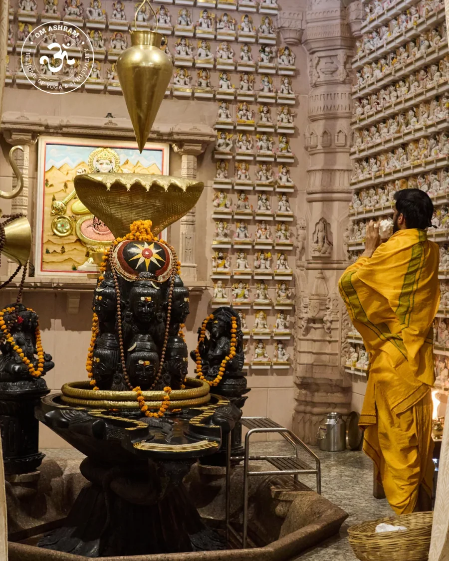 a-wall-of-1008-shivas-a-monument-to-devotion_body9