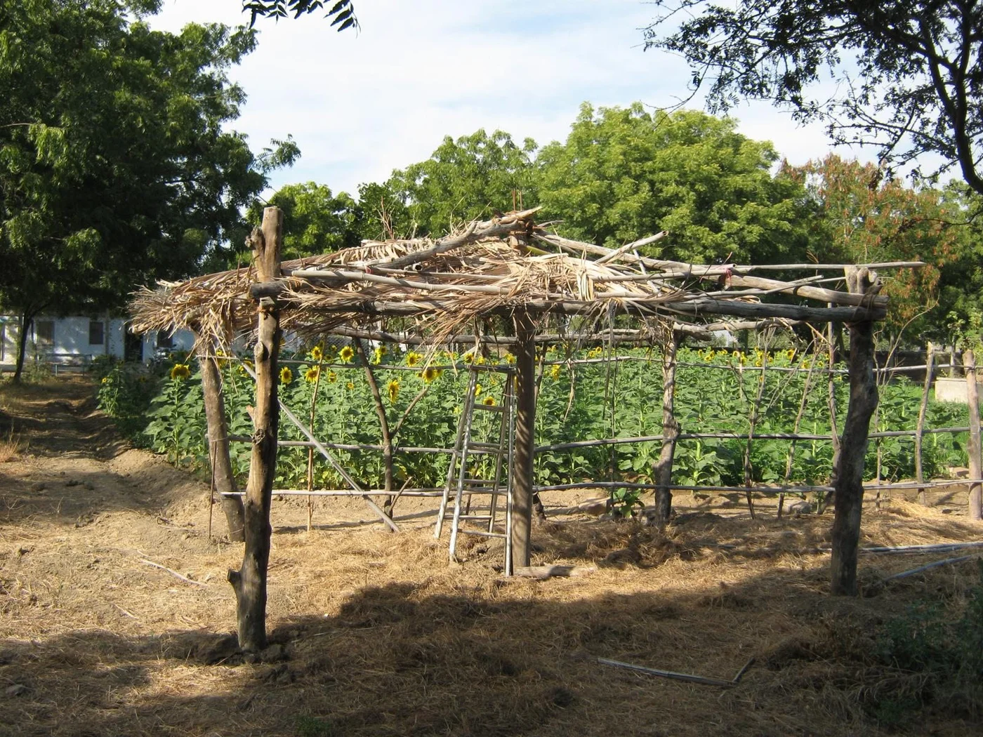 a beautiful shade hut is constructed for meditation