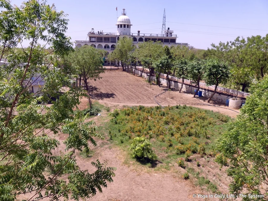 Area_prepared_for_about_50_papaya_trees_opposite_workshop"