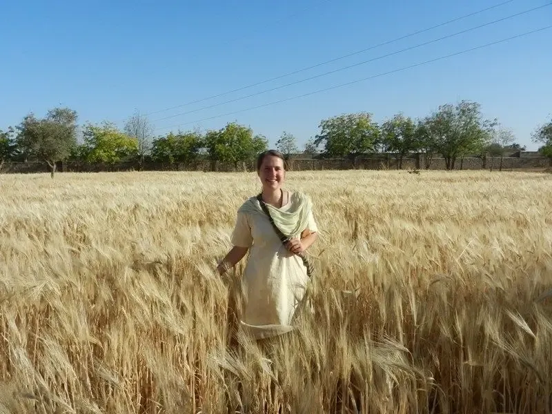 barley-wheat-harvest-at-om-ashram bodyImage