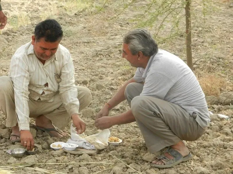 barley-wheat-harvest-at-om-ashram bodyImage
