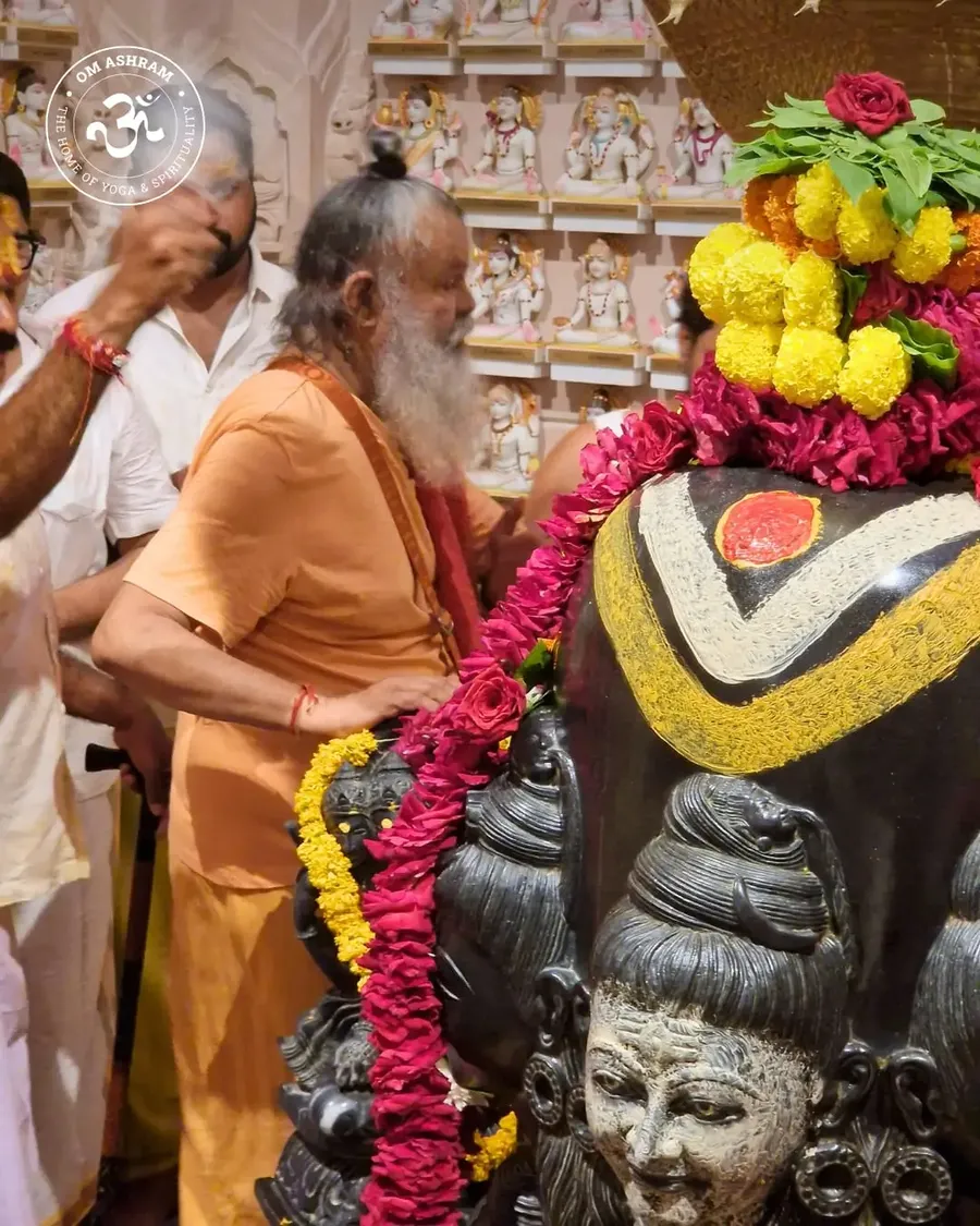 birthday-celebration-gurudev-at-rudra-abhishek bodyImage