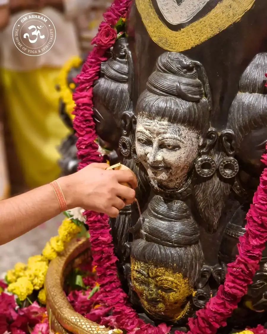 birthday-celebration-gurudev-at-rudra-abhishek bodyImage