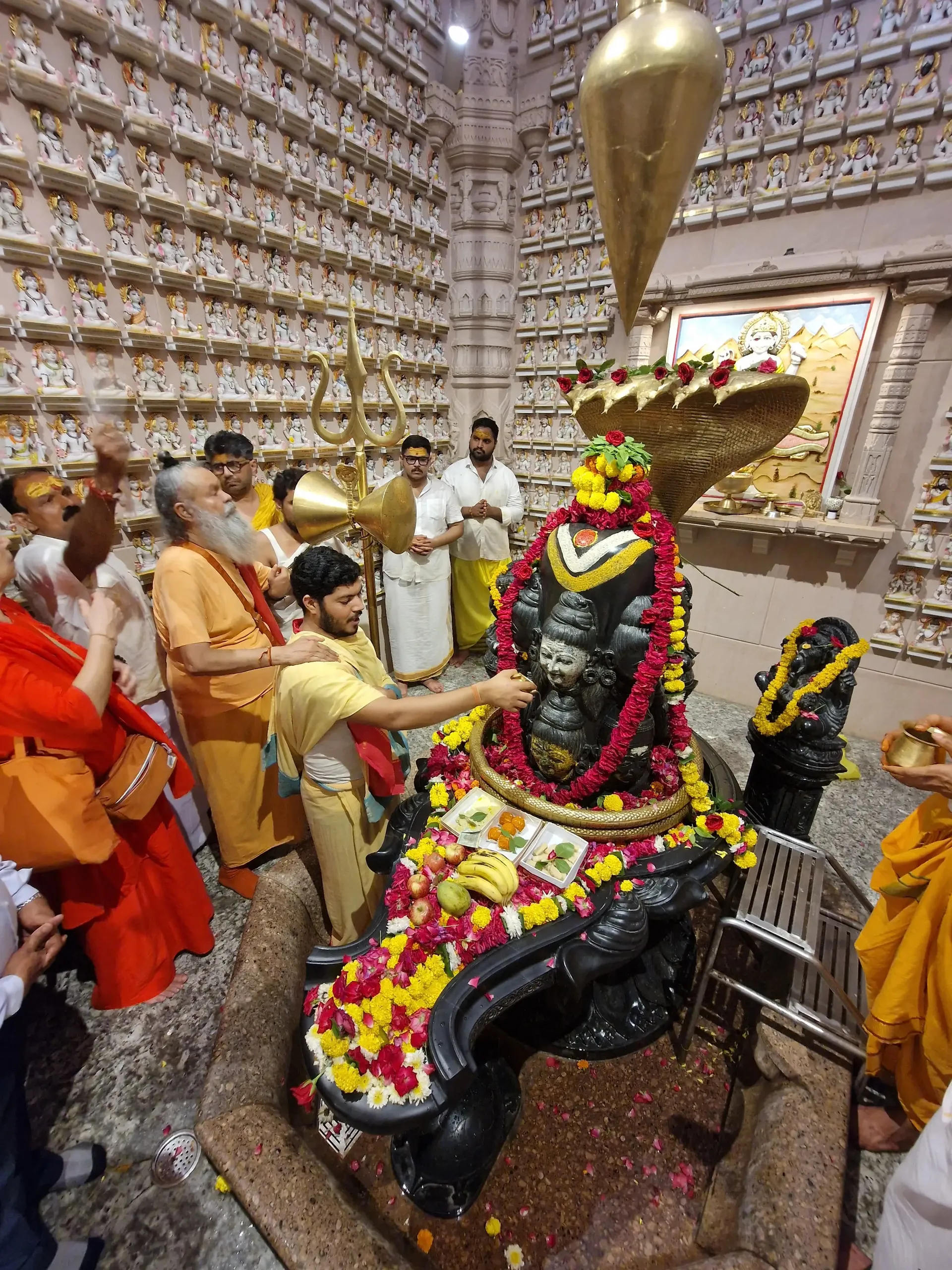 birthday-celebration-gurudev-at-rudra-abhishek bodyImage