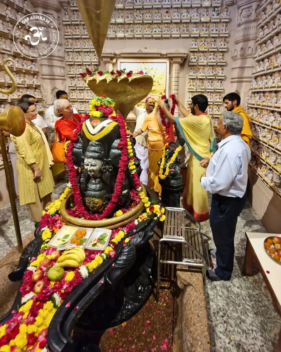 birthday-celebration-gurudev-at-rudra-abhishek bodyImage