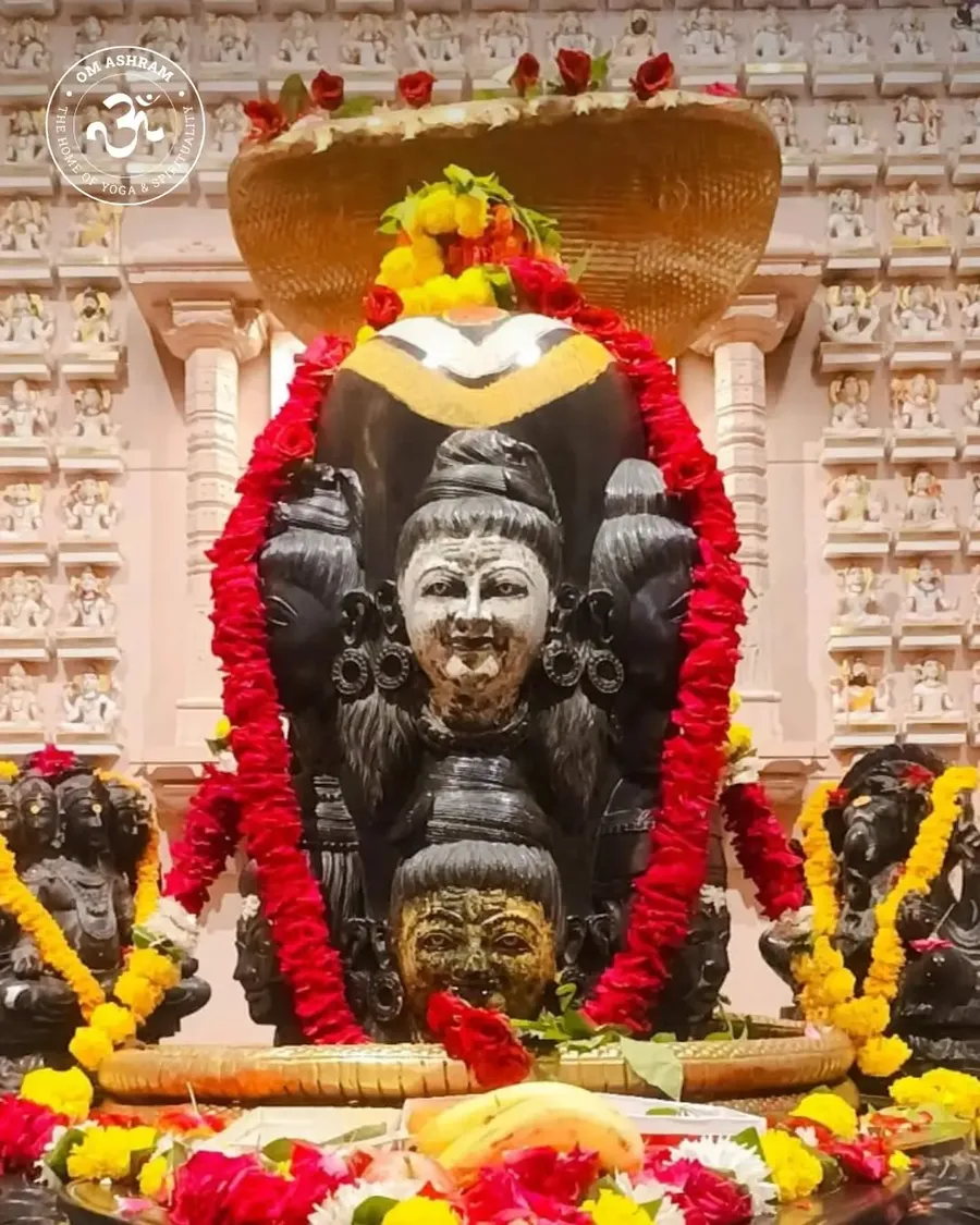 birthday-celebration-gurudev-at-rudra-abhishek bodyImage