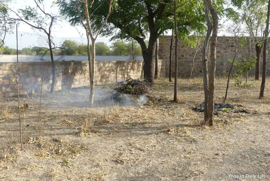 burning bouganvillea thorns behind White House