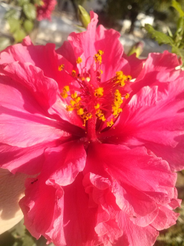 This month was a whirlwind