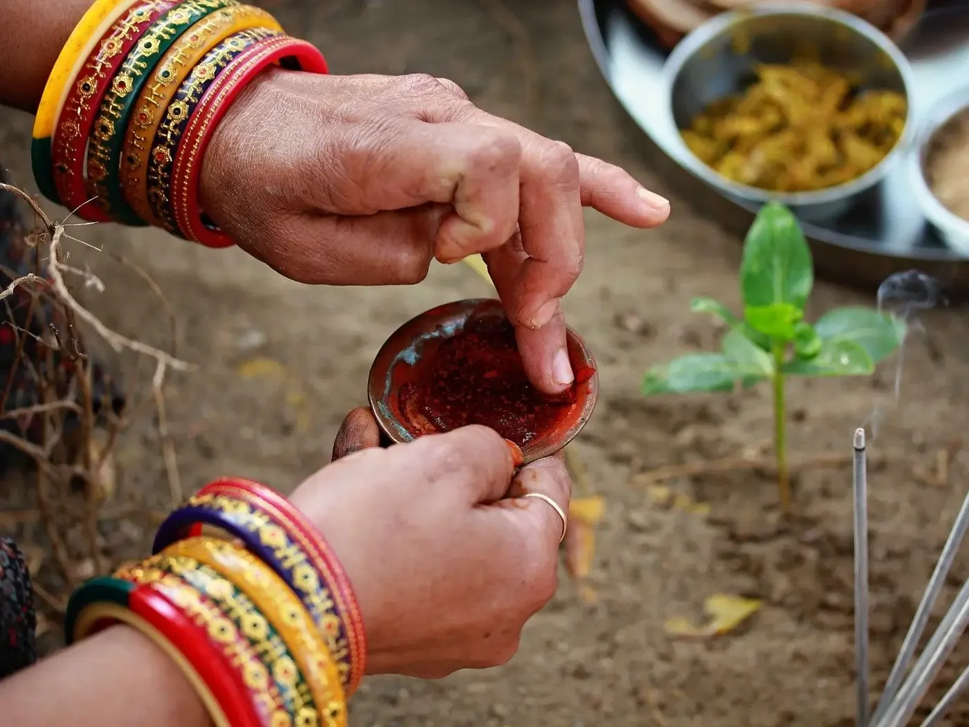 coming-of-spring bodyImage