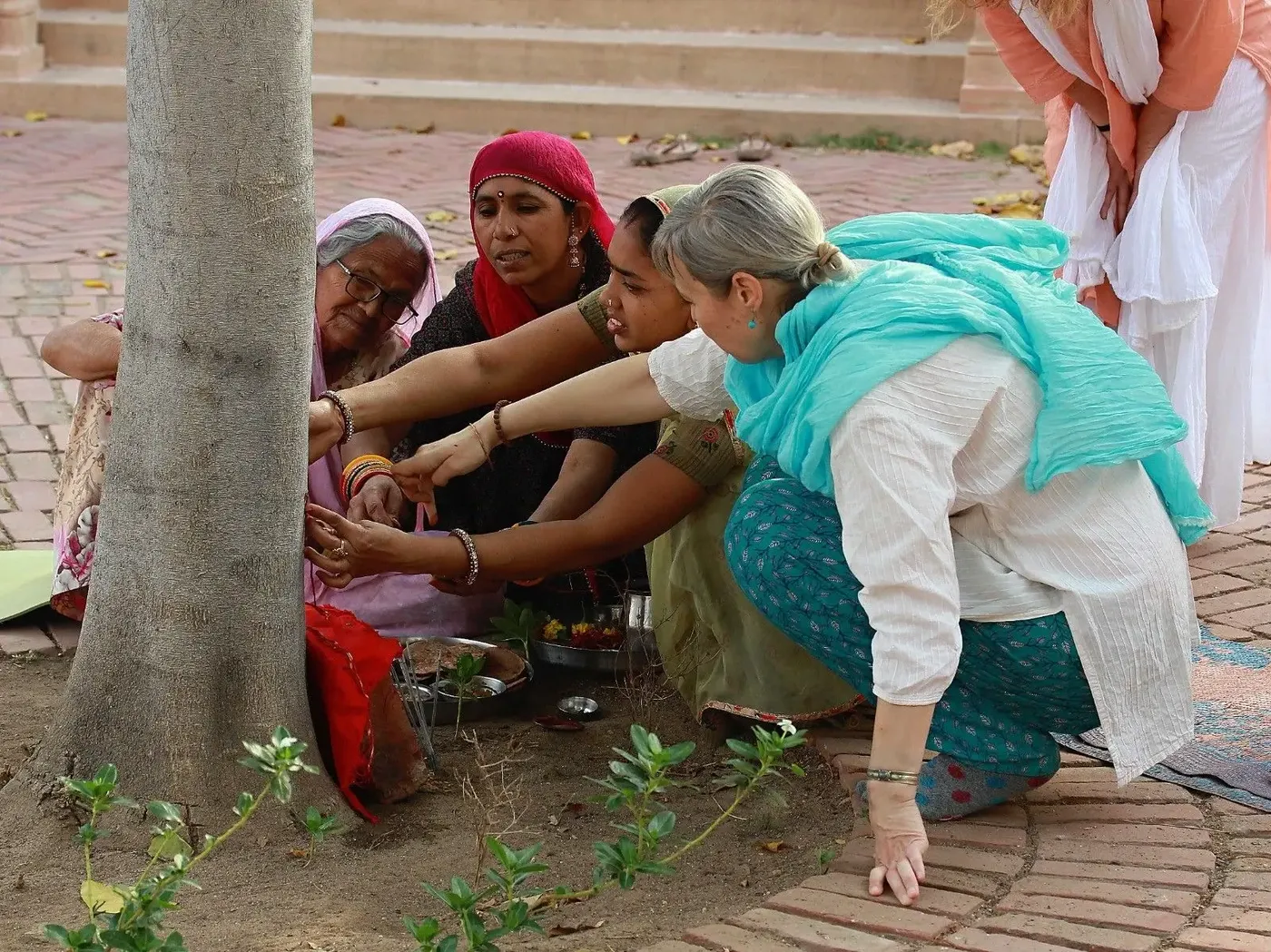 coming-of-spring bodyImage