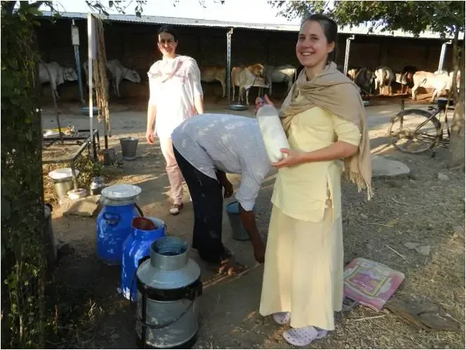 cow-ghee-from-ashram bodyImage