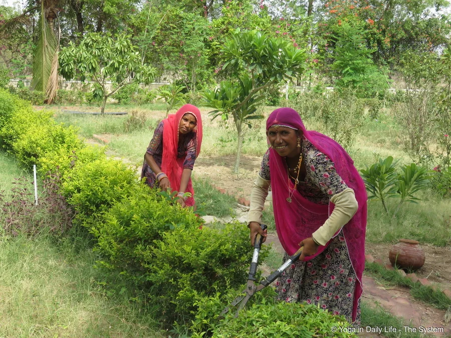 Dhapu and Parsi pruning the golden hedge
