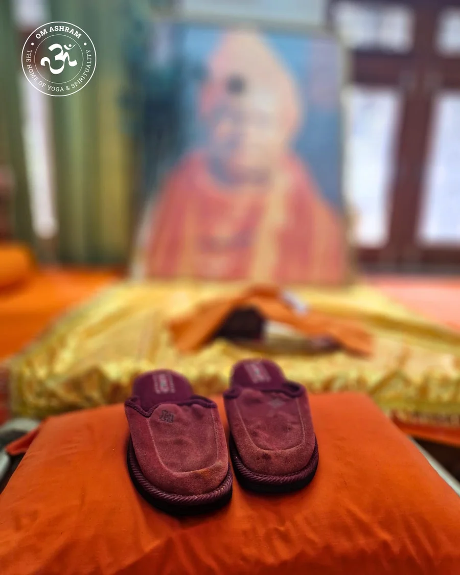 divine-darshan-at-om-ashram bodyImage