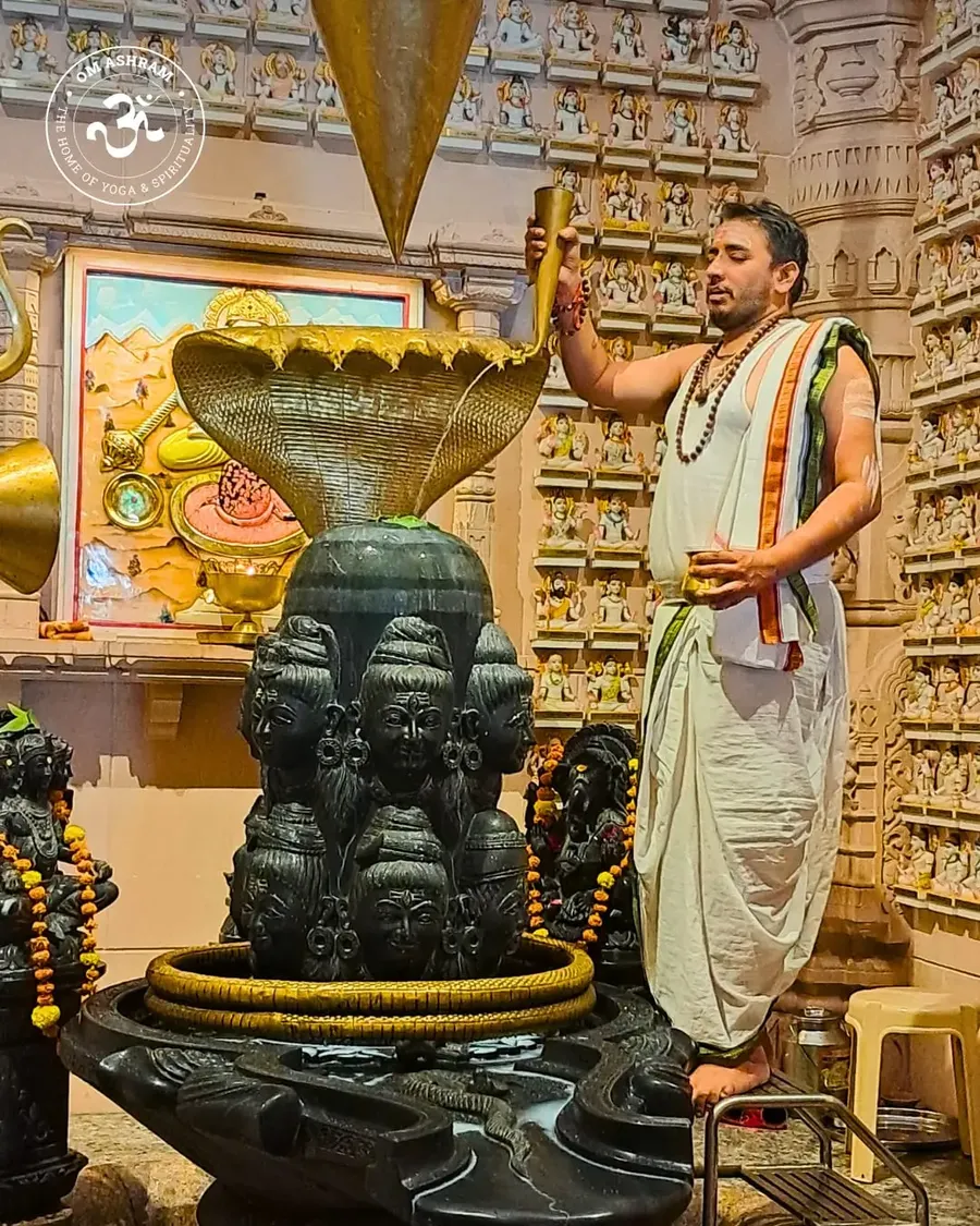 final-3-days-mahamrityunjaya-and-rudrabhishek-ceremony bodyImage