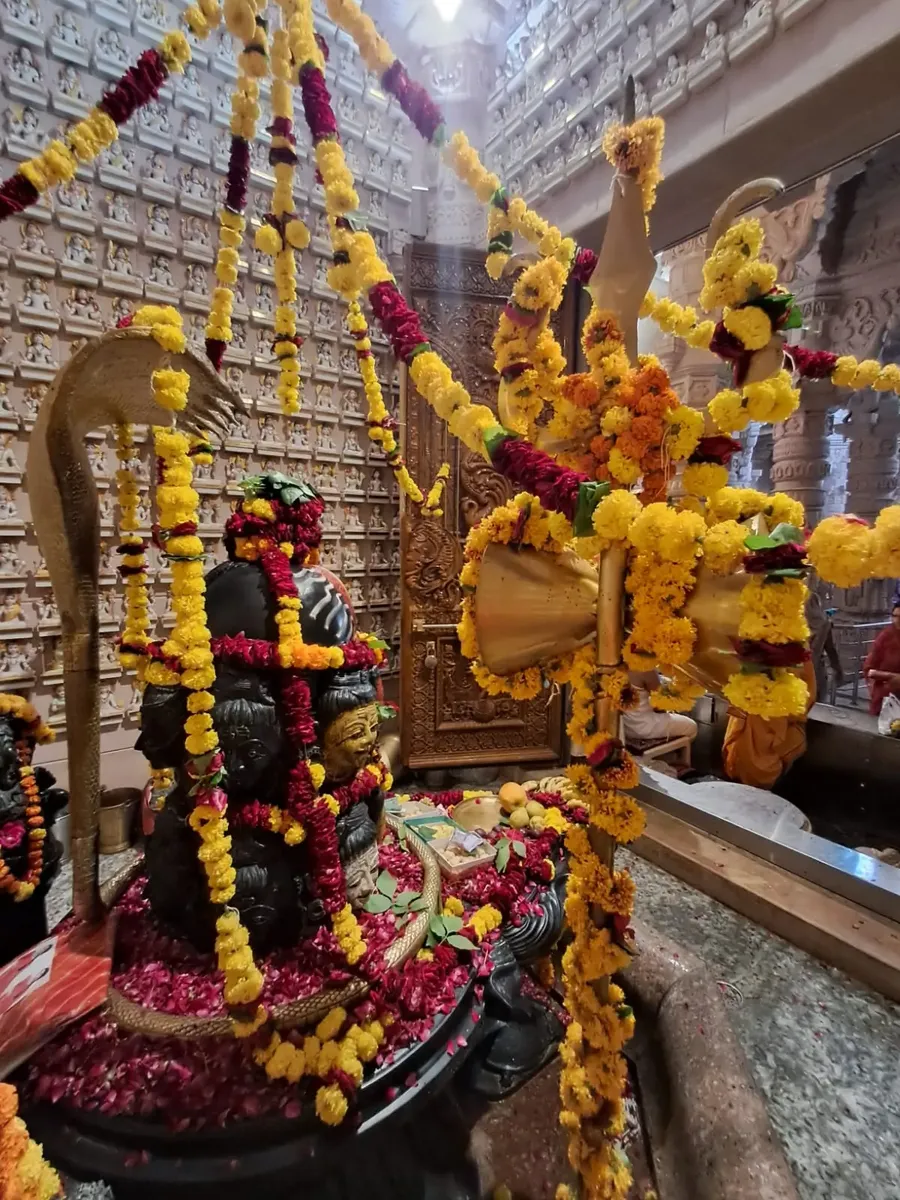 final-3-days-mahamrityunjaya-and-rudrabhishek-ceremony bodyImage