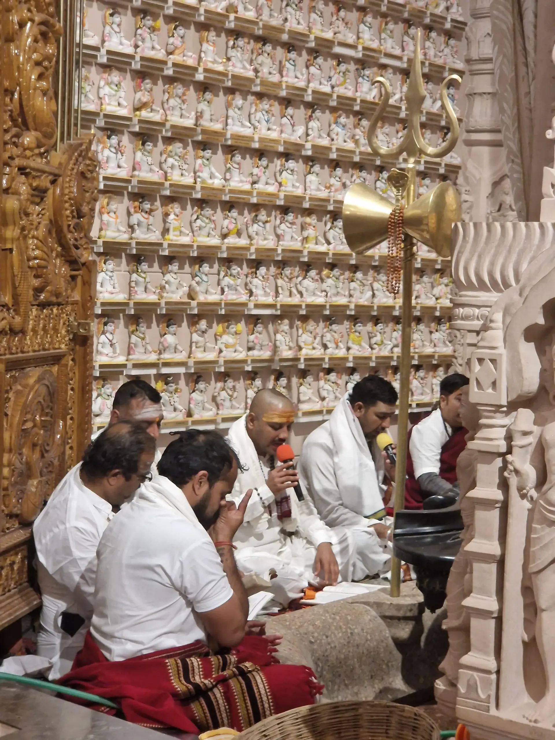 first-anniversary-of-om-ashram-opening bodyImage