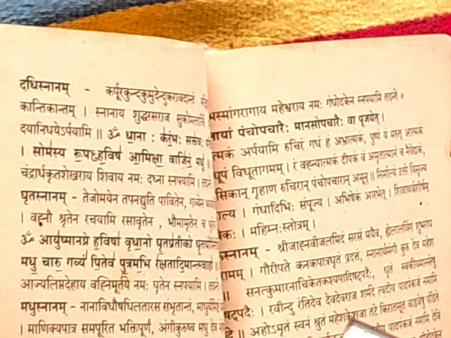 grand-finale-the-mahamrityunjaya-havan-at-om-ashram bodyImage