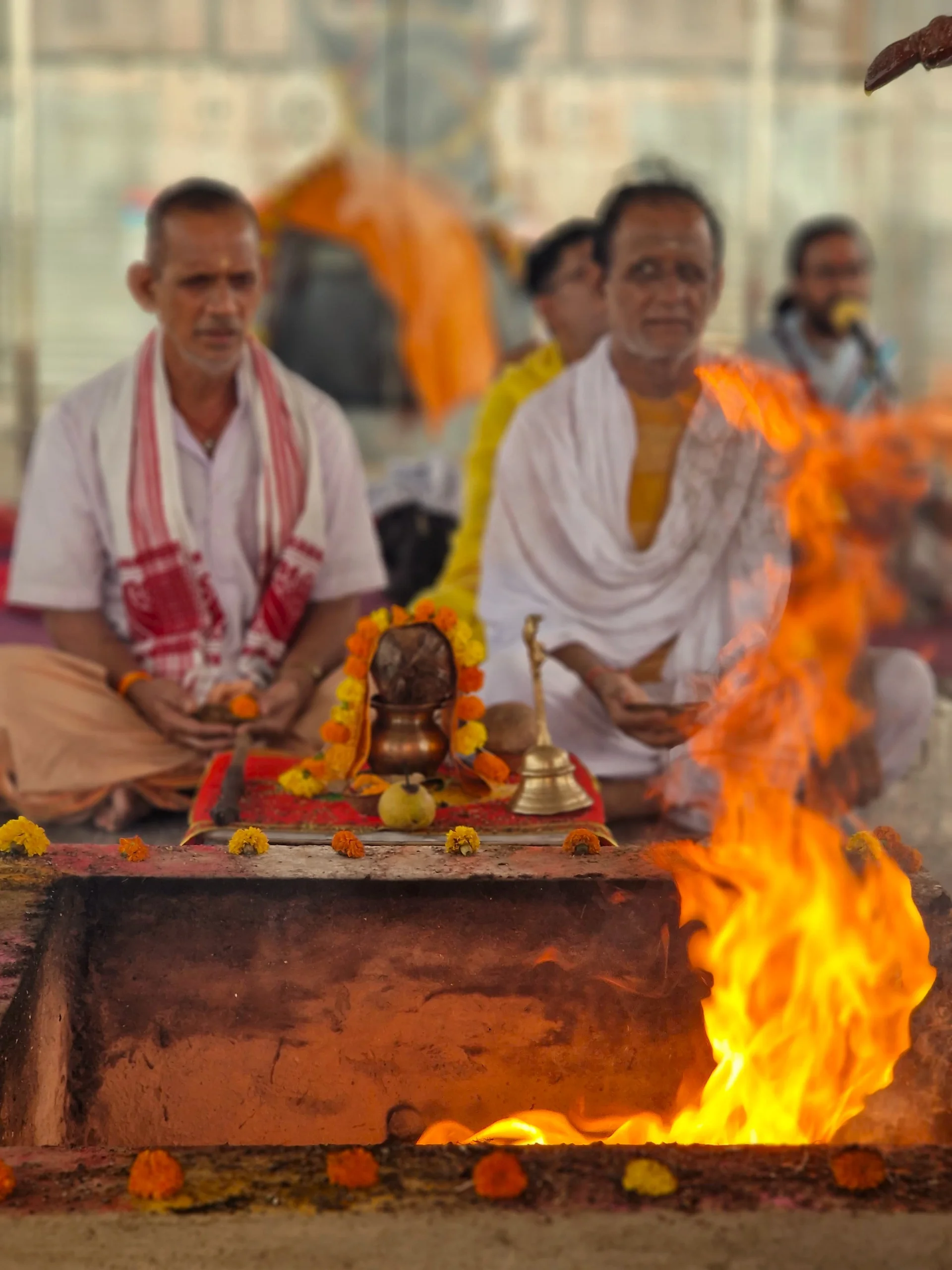 grand-finale-the-mahamrityunjaya-havan-at-om-ashram bodyImage