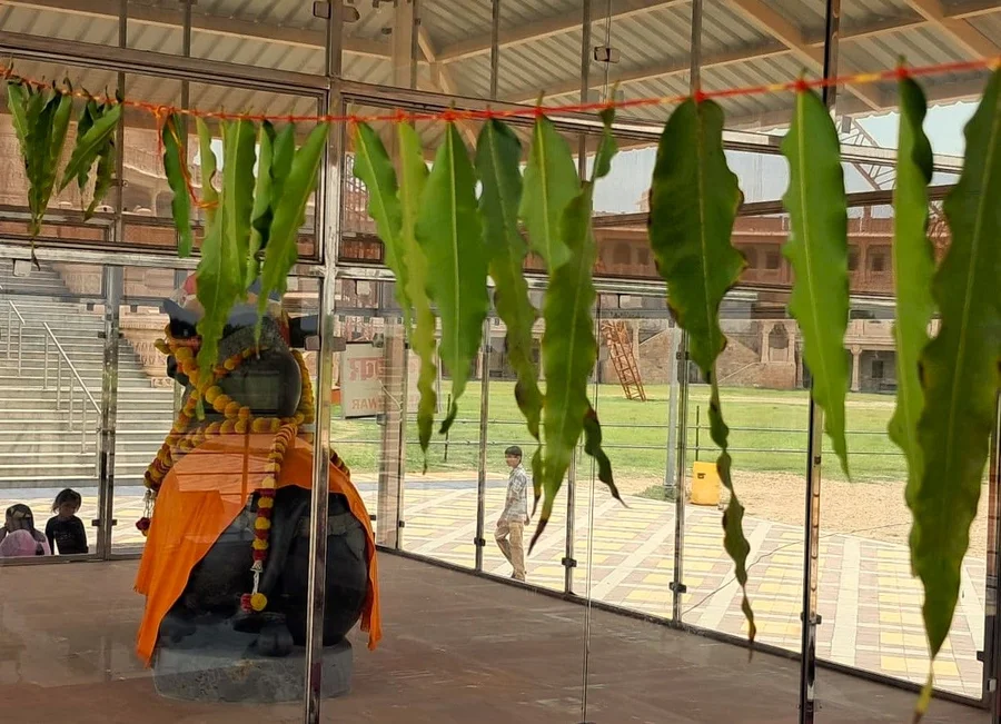 grand-finale-the-mahamrityunjaya-havan-at-om-ashram bodyImage