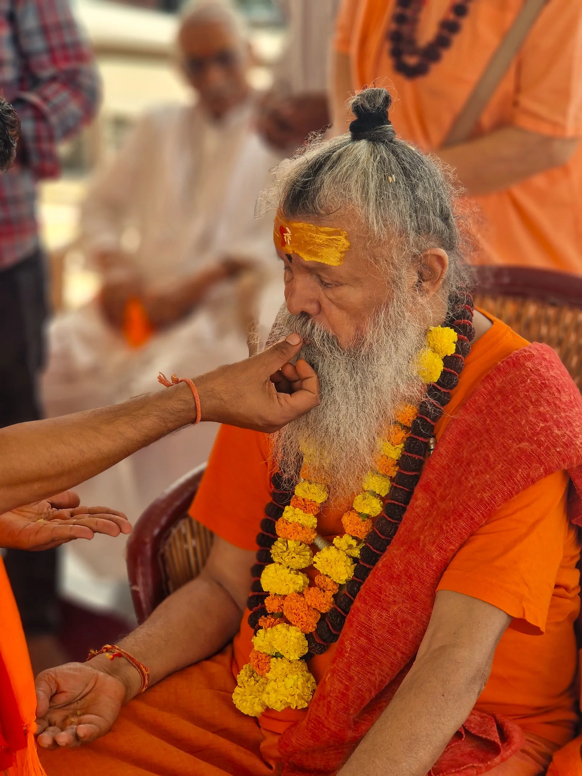 grand-finale-the-mahamrityunjaya-havan-at-om-ashram bodyImage