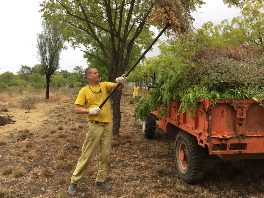 hanspuriji loading up 1200