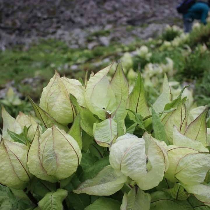 harmonizing body and mind: the transformative power of yoga harmonizing-body-and-mind-the-transformative-power-of-yoga_cover.jpg